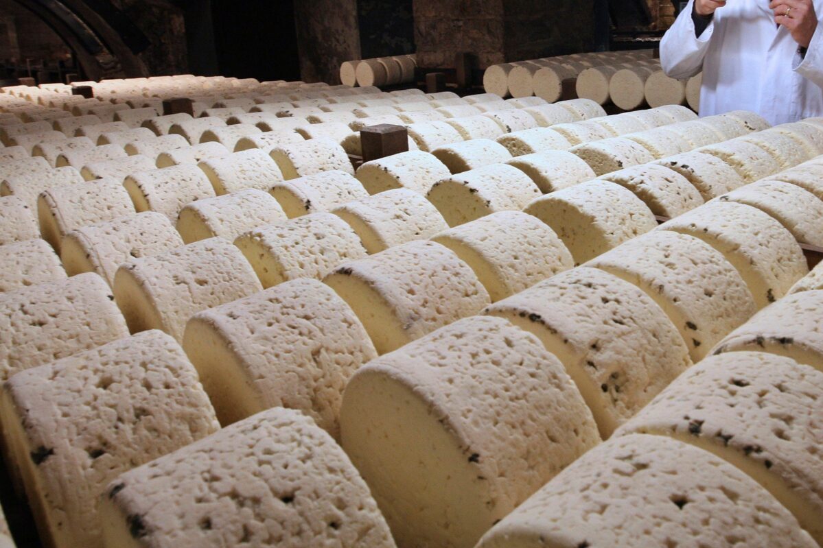 Discover the Delicious World of German Cheese and Dairy Products
