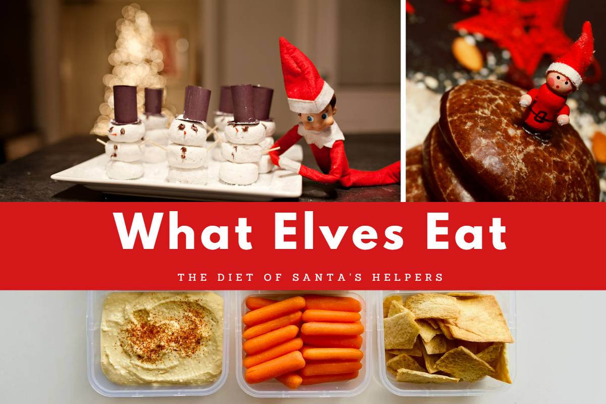 What Elves Eat: The Diet of Santa’s Helpers